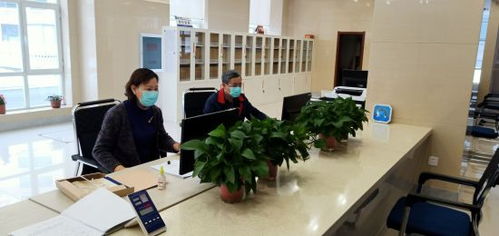 通化市檔案館 疫情防控與檔案利用服務兩不誤，檔案整理服務賦能便民