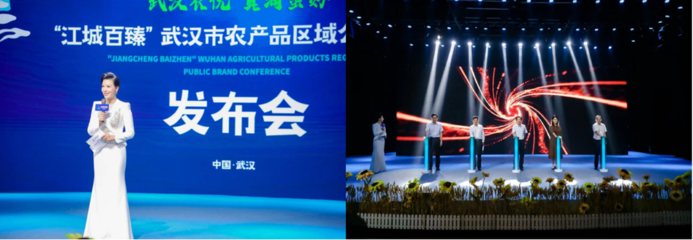 傳播硬實力 奮進新征程 &ldquo;江城百臻&rdquo;綻放央視熒屏